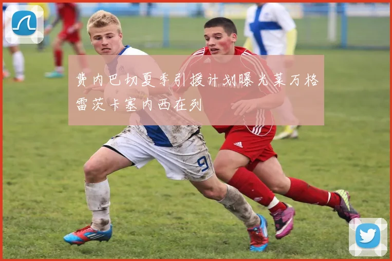 费内巴切夏季引援计划曝光莱万格雷茨卡塞内西在列