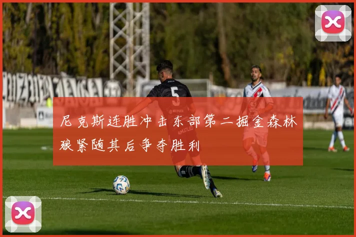 尼克斯连胜冲击东部第二掘金森林狼紧随其后争夺胜利